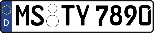 MS-TY7890