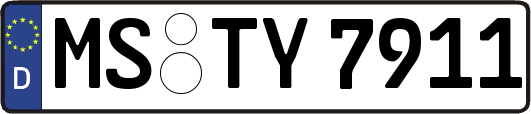 MS-TY7911