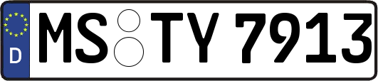 MS-TY7913
