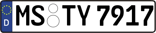 MS-TY7917