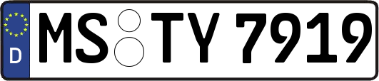 MS-TY7919