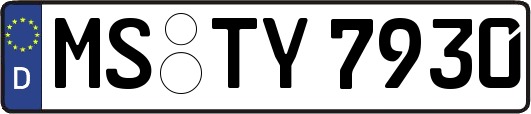 MS-TY7930