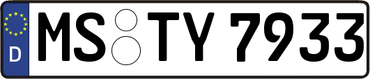 MS-TY7933