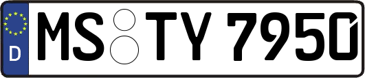 MS-TY7950