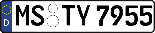 MS-TY7955
