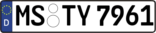 MS-TY7961