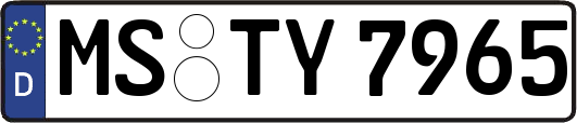 MS-TY7965