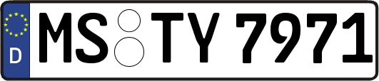 MS-TY7971