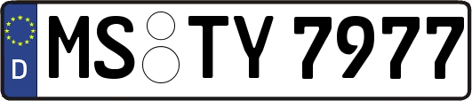 MS-TY7977