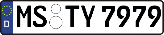 MS-TY7979