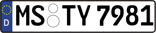 MS-TY7981