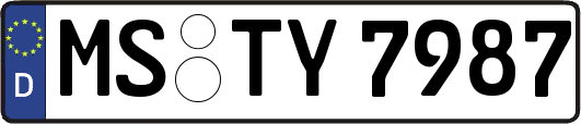 MS-TY7987