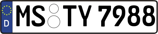 MS-TY7988