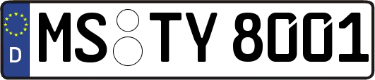 MS-TY8001