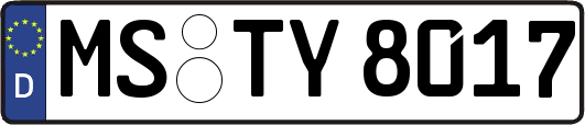 MS-TY8017