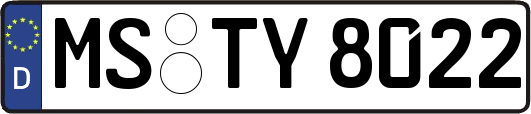 MS-TY8022