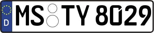 MS-TY8029