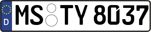 MS-TY8037