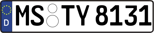 MS-TY8131