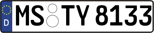 MS-TY8133