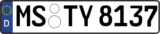 MS-TY8137