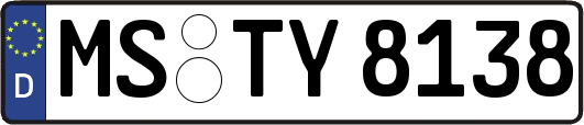 MS-TY8138