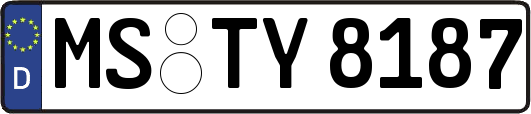 MS-TY8187