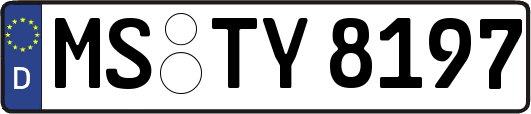 MS-TY8197