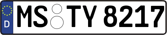 MS-TY8217
