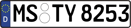MS-TY8253