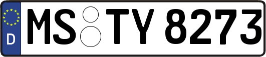MS-TY8273
