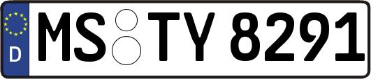 MS-TY8291
