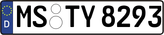 MS-TY8293