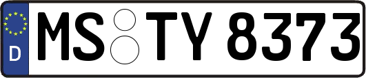 MS-TY8373