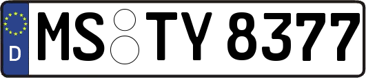 MS-TY8377