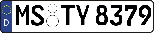MS-TY8379