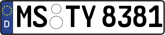 MS-TY8381