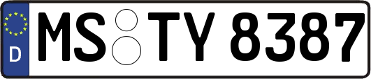 MS-TY8387