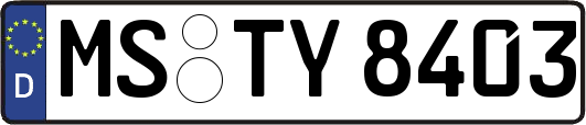 MS-TY8403