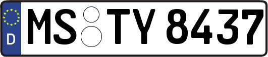 MS-TY8437