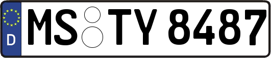 MS-TY8487