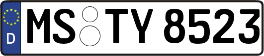 MS-TY8523