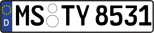 MS-TY8531