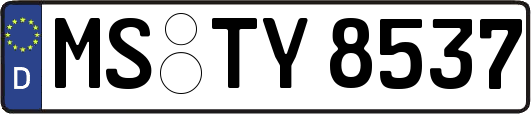 MS-TY8537