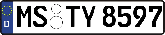 MS-TY8597