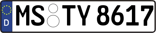 MS-TY8617