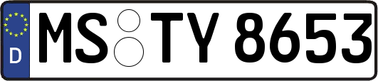 MS-TY8653