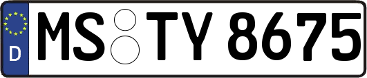 MS-TY8675