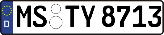 MS-TY8713
