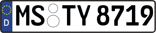 MS-TY8719